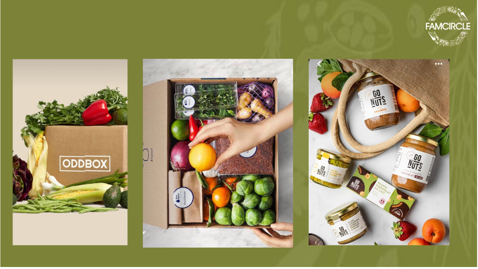 Famcircle scope.pdf (2)