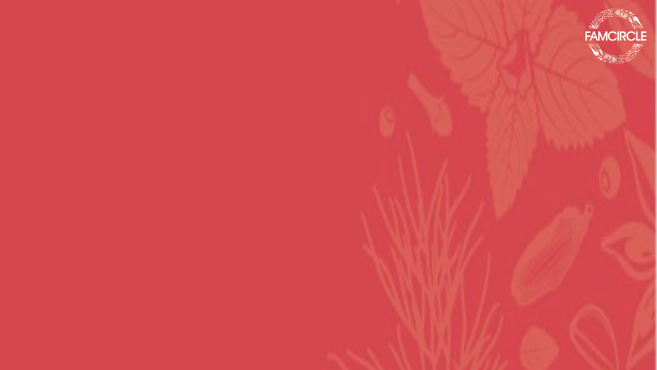 Famcircle scope.pdf (3)