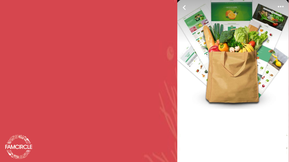 Famcircle scope.pdf (5)