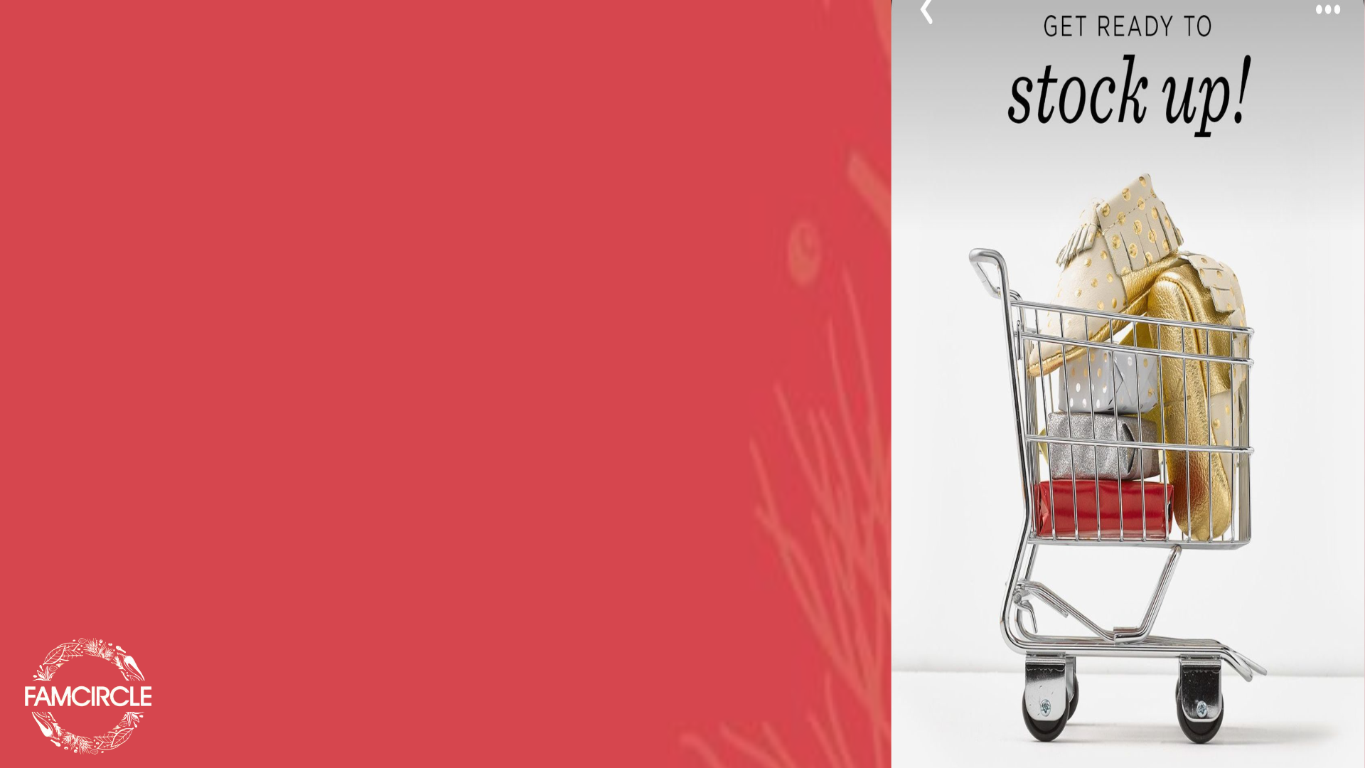 Famcircle scope.pdf (7)